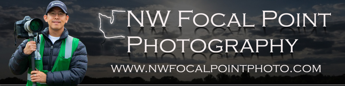 NW Focal Point Photography